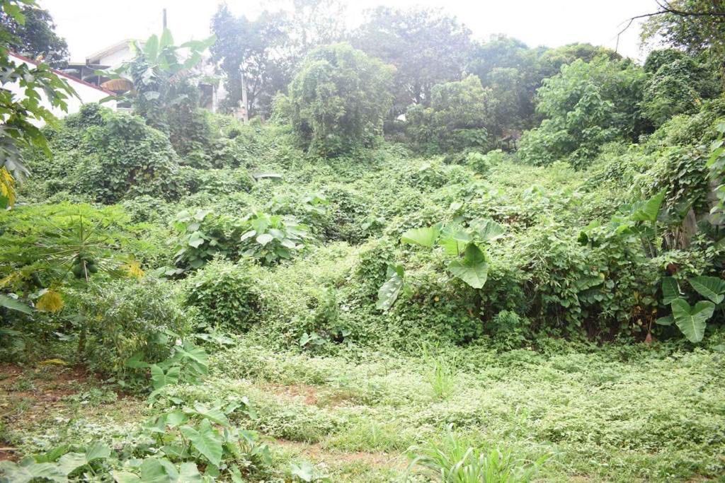 ANTIPOLO Victoria Valley Subdivison Property768 sqms lot, Property