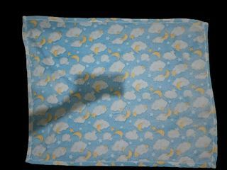Baby Blanket / Towel