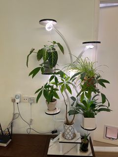 （分類：）位於 。 由 jaytee2024 提交（商品編號 1227466242，圖片 1）。簡介： 。
