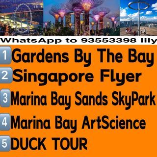 Gardens by the bay   Singapore Flyer + Time  Marina Bay Sands SkyPark   Marina Bay ArtScience  Future World  DUCK TOUR