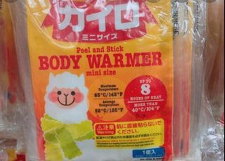 Heat pad, body warmer