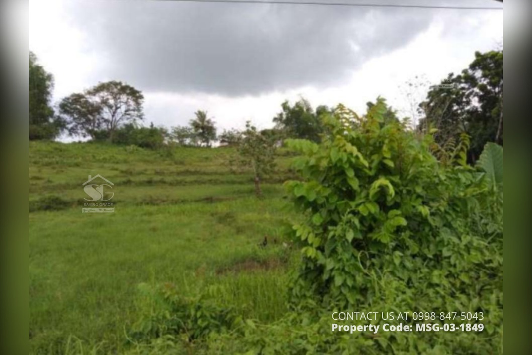 MSG031849 Manbiranan, Calinog, Iloilo FORECLOSED AGRICULTURAL LOT