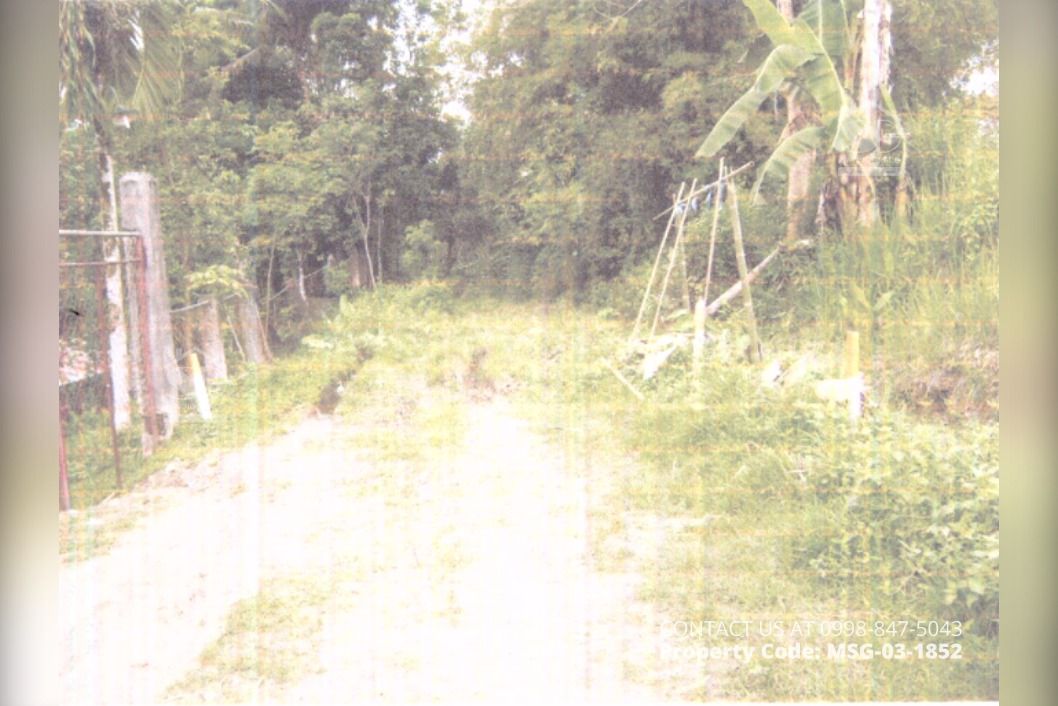 MSG031852 Brgy. Carvasana, Calinog, Iloilo FORECLOSED AGRICULTURAL