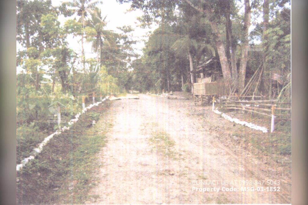MSG031852 Brgy. Carvasana, Calinog, Iloilo FORECLOSED AGRICULTURAL