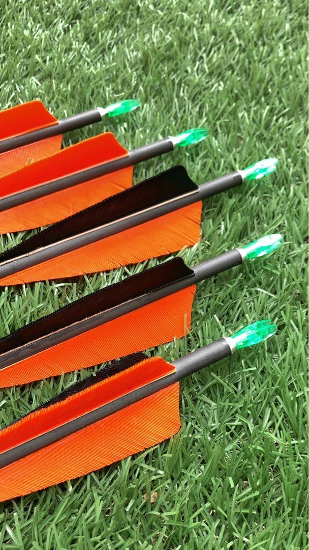 Musen Carbon Arrows, Sports Equipment, Other Sports Equipment and