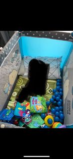 (Category: ) located in . Submitted by fatinaraduwan (Listing ID 1227438359, Image 1). Description: .