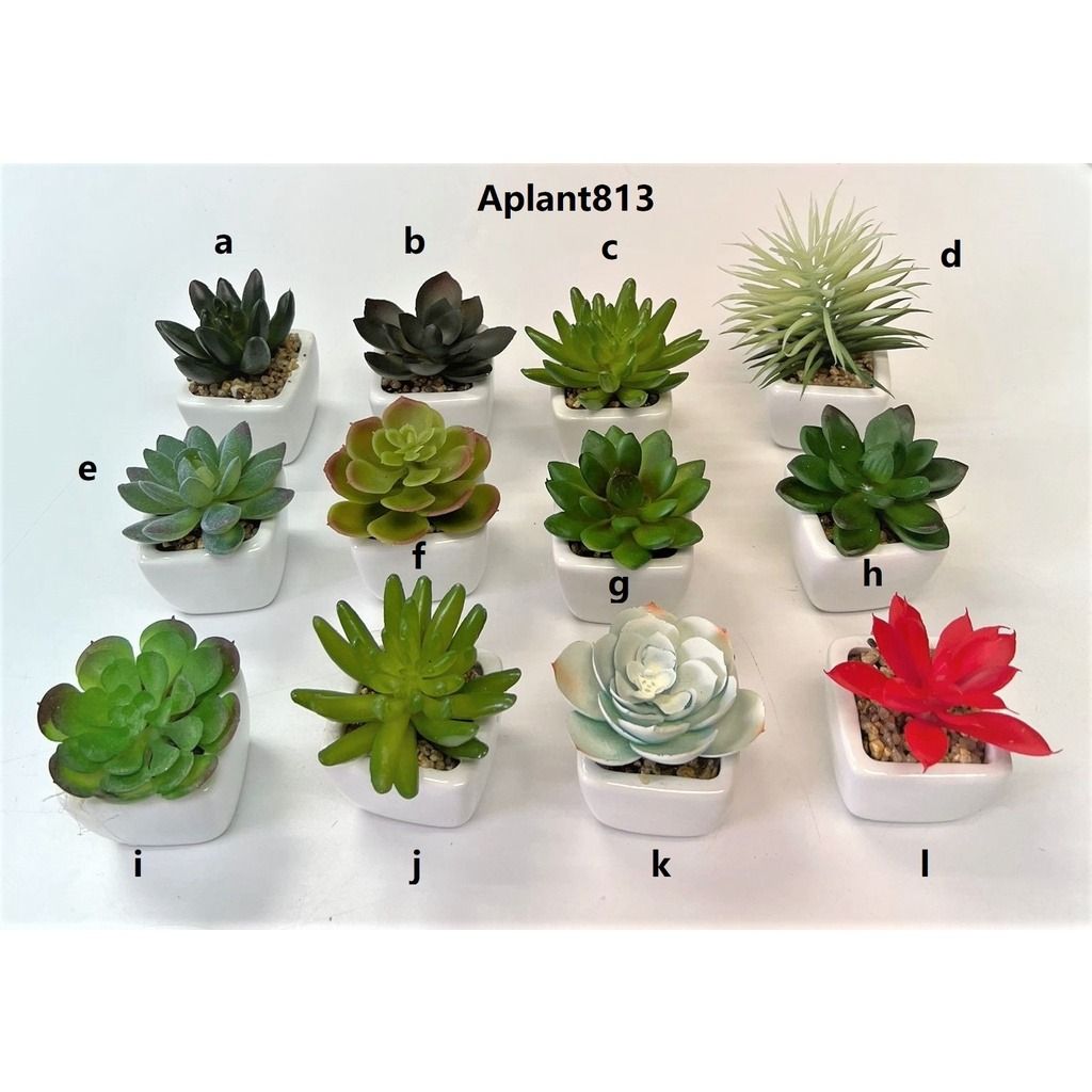 Mini Artificial Cactus Plants in Terracotta Pots 4 Pcs Potted Faux  Succulents in Pots Fake Potted Plants Cactus Decor Small Artificial Plants  for Home