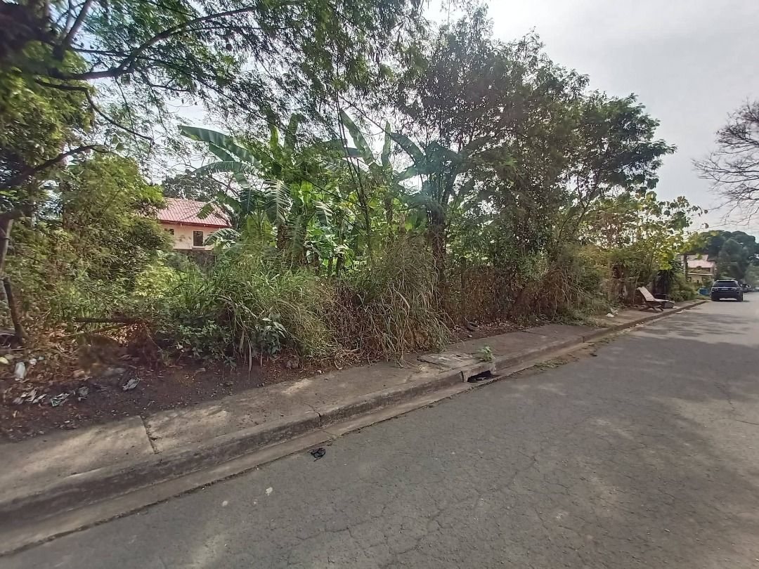 RUSH FOR SALE! LOT located in Congress Village, Congressional Road