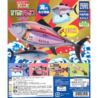 由 yuling920 (刊登 ID 1227560919，圖片 1) 提交，位於 的 (類別：)，說明：。