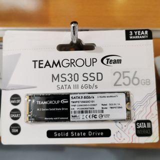 Teamgroup MS30 256GB M.2 SATA SSD