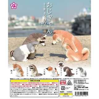 由 yuling920 (刊登 ID 1227561491，圖片 1) 提交，位於 的 (類別：)，說明：。