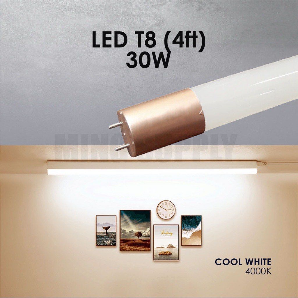 Kalimantang led new arrivals