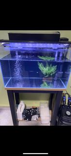 (Category: ) located in . Submitted by gemunique_sg (Listing ID 1216452563, Image 1). Description: .