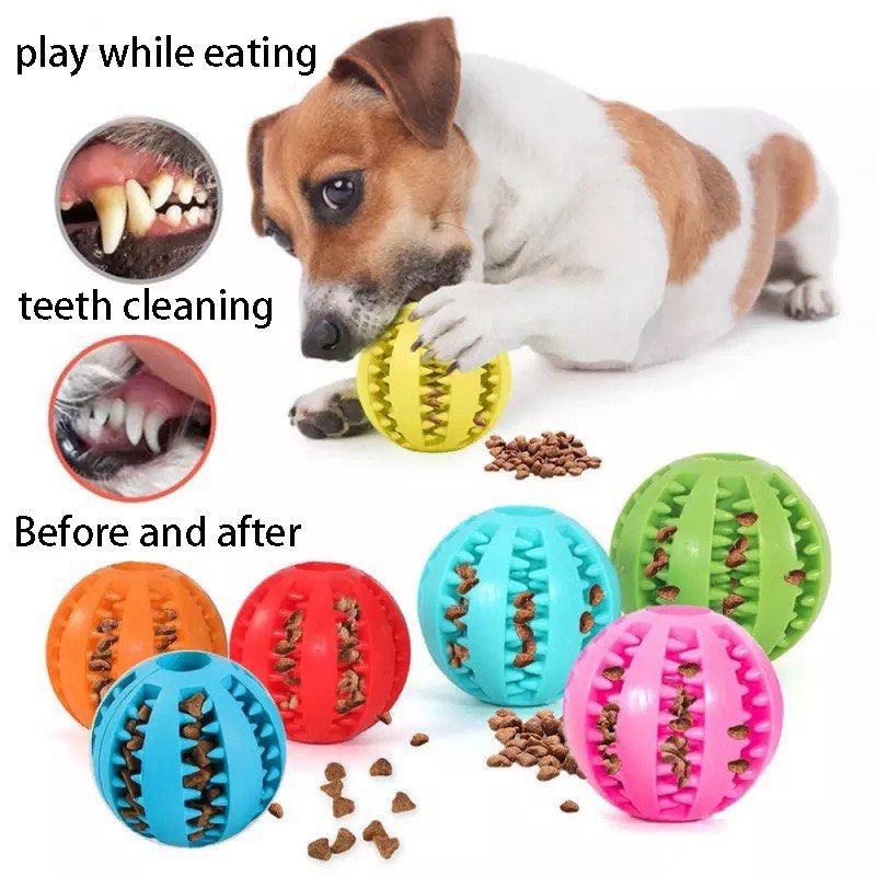 Teeth cleaning dog deals ball