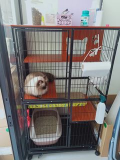 (Category: ) located in . Submitted by reithgoh (Listing ID 1224323258, Image 1). Description: .