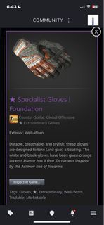 CSGO Specialist Gloves Foundation WW