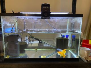(Category: ) located in . Submitted by evan0011 (Listing ID 1223463931, Image 1). Description: .