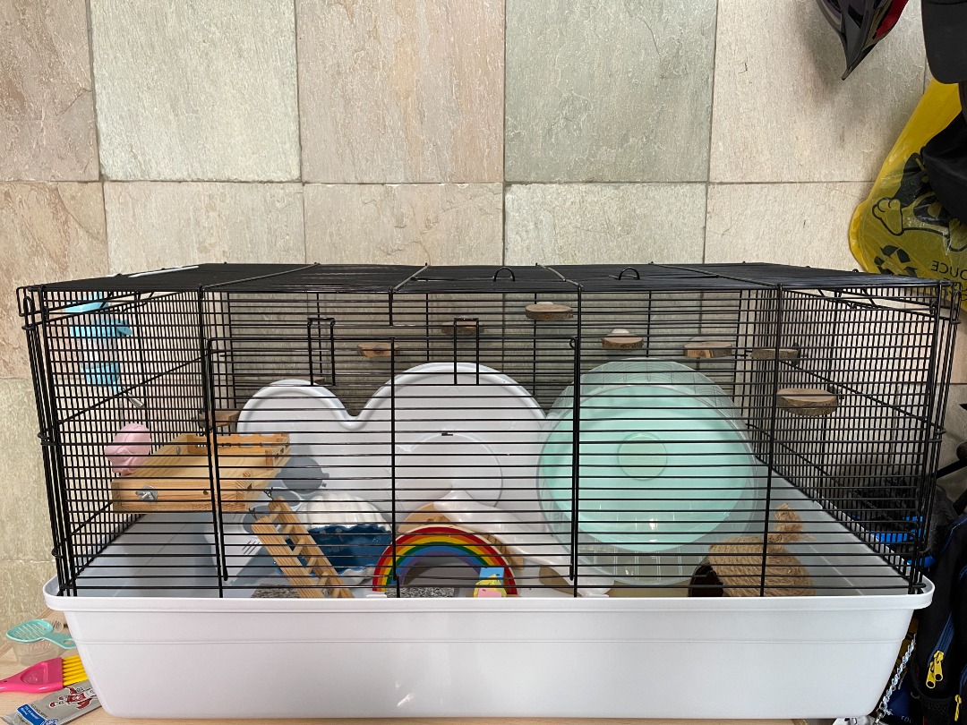 Syrian hamster tank size sale