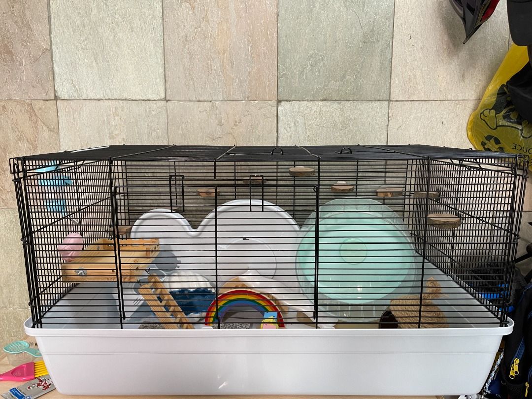 Syrian hamster cage size on sale