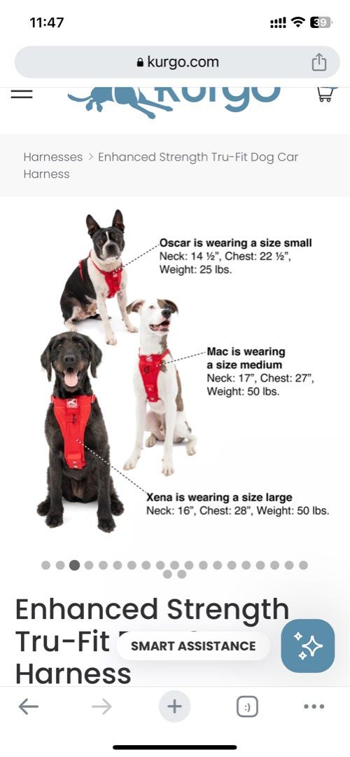 Kurgo dog car harness crash tested MEDIUM, Pet Supplies, Homes