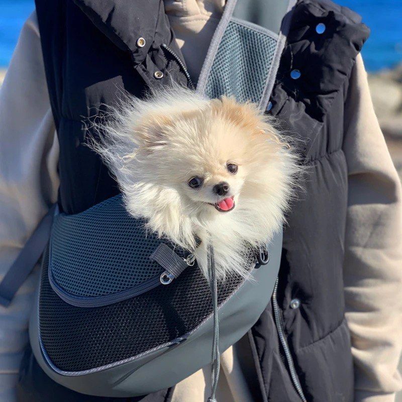 Chihuahua 2025 travel bag