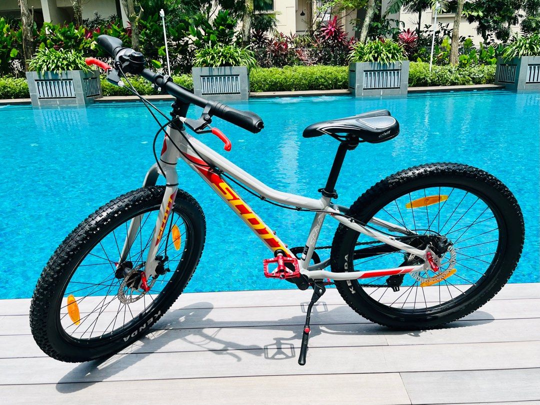 Scott scale sales plus 24
