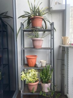 (Category: ) located in . Submitted by loriot (Listing ID 1224209715, Image 1). Description: .