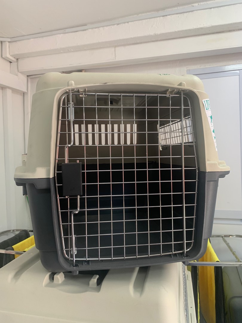 XL dog crate, Pet Supplies, Homes & Other Pet Accessories on Carousell