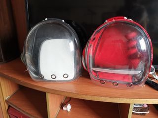 2 Cat transparent back pack carrier