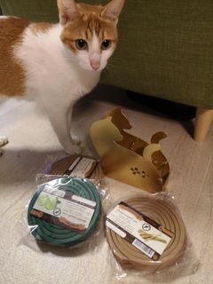 （分類：）位於 。 由 thaimeow 提交（商品編號 1227621591，圖片 1）。簡介： 。