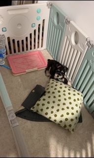 (Category: ) located in . Submitted by ed1s0nizer (Listing ID 1227626171, Image 1). Description: .