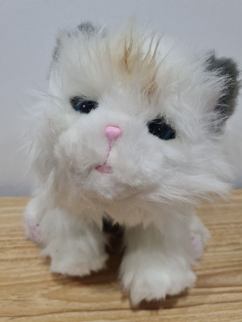 Little live pets cuddles my dream kitten 2025
