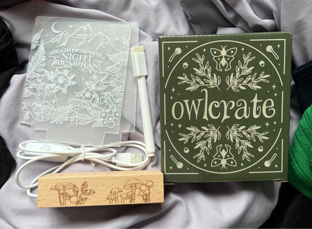 owlcrate january 2023 a court of dreams light up display board