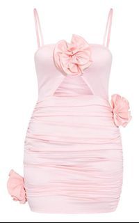 Pretty little thing PLT light pink flower detail dress