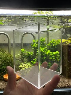 (Category: ) located in . Submitted by yourfriendlyhobbyist (Listing ID 1227715610, Image 1). Description: .