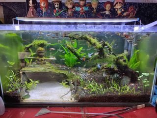 (Category: ) located in . Submitted by raymondjohn07 (Listing ID 1227817981, Image 1). Description: .