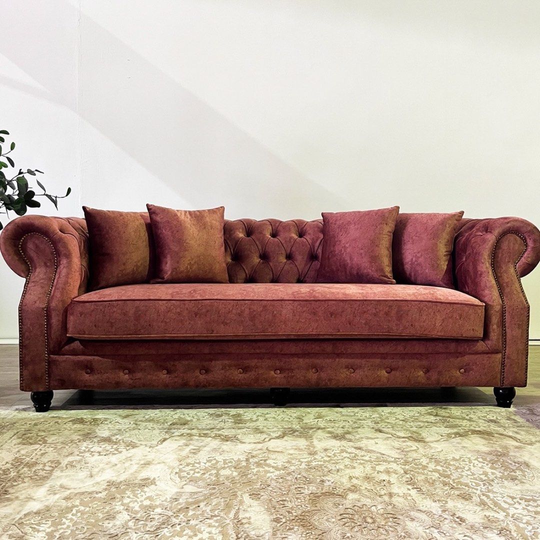 Cat Proof Sofa Uk Baci Living Room