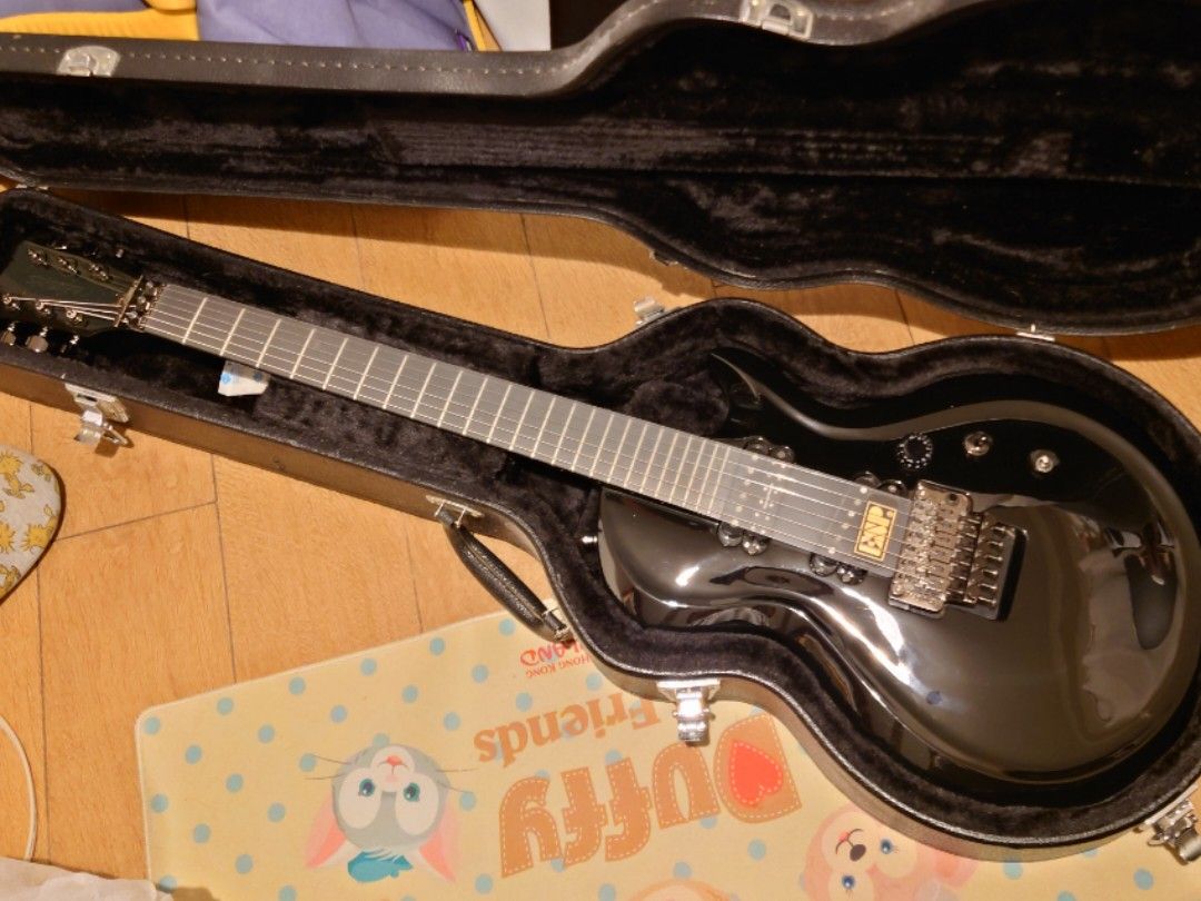 ESP EDWARDS E-EN-165-A3 (The Gazette Aoi model), 興趣及遊戲, 音樂 