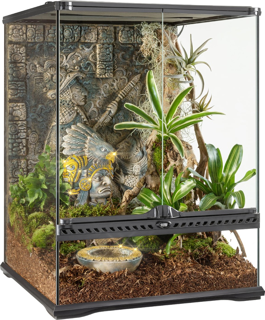 Exo Terra Aztec Glass Terrarium Mini Tall Reptile Habitat Aztec tank