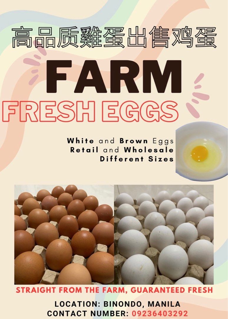 Fresh Farm Eggs! Open for wholesalers! (Category: Local Eats) located in Manila. Submitted by brn_vanity.com (Listing ID 1227876074, Image 1). Description: S - 270 M - 280 L - 290 XL - 300 .