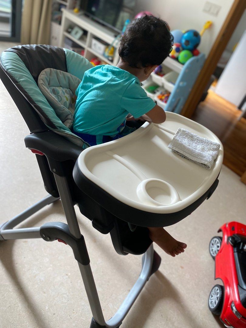 Graco duodiner lx best sale baby high chair