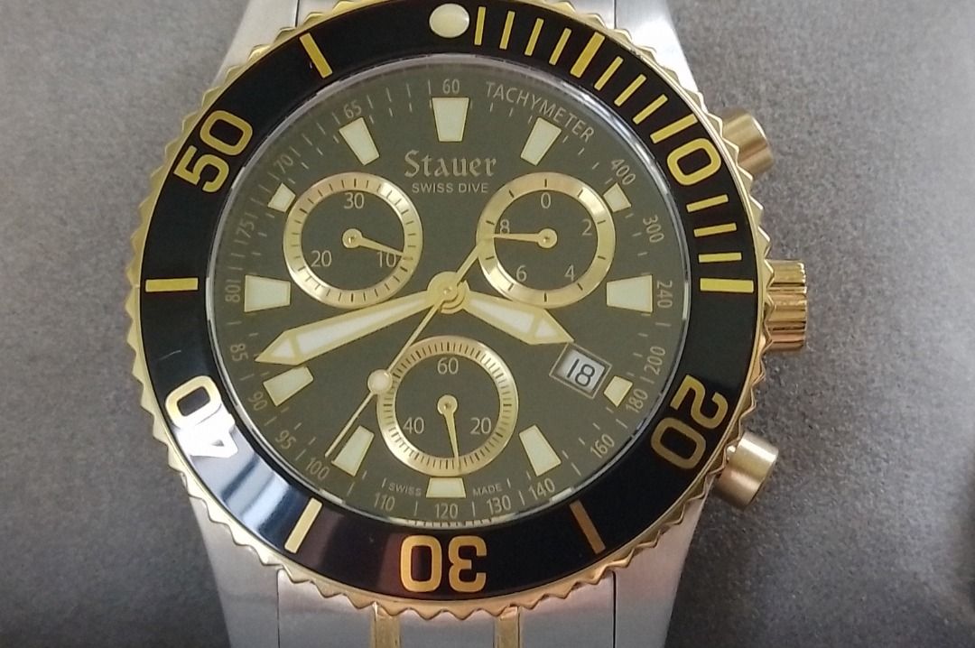 Stauer swiss dive watch 2025