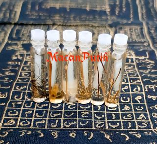 (Category: ) located in . Submitted by Macanputih (Listing ID 1227895335, Image 1). Description: .