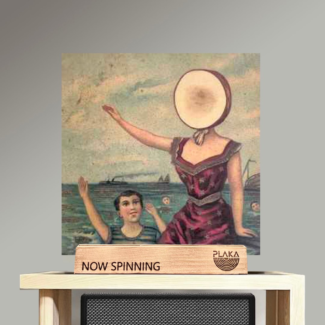 Neutral Milk Hotel - In The Aeroplane Over The Sea Digital Art By Bung - Foto 4