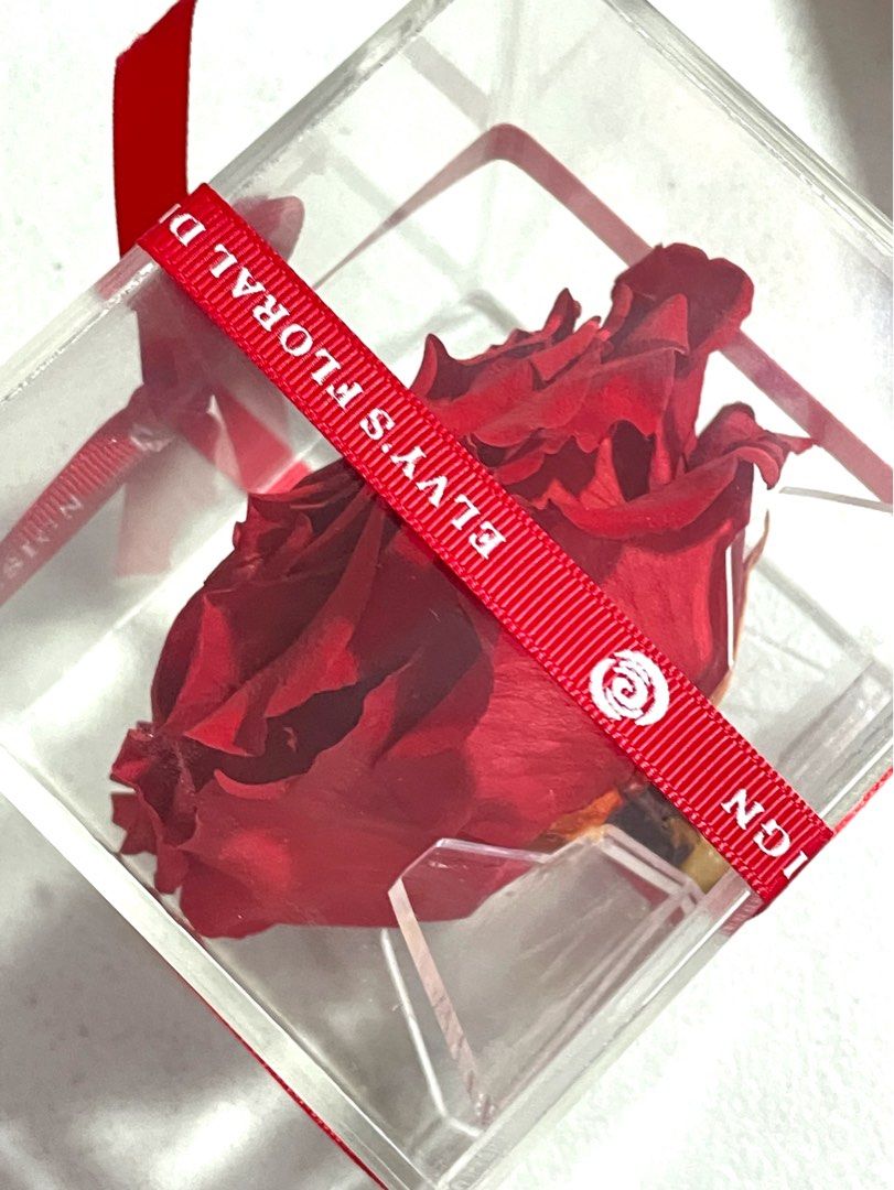 Preserved Rose (Category: Flowers & Bouquets) located in Manila. Submitted by mixnmatchmnl (Listing ID 1227813030, Image 3). Description: From Elvy’s Floral Design P350 only Flaw: bottom of acrylic. Pls see photos.
