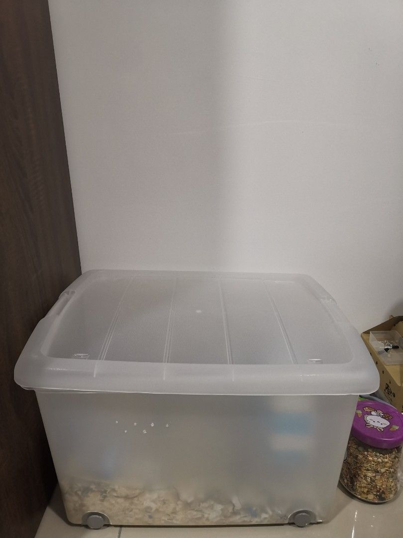Storage bin medium big Hamster bin cage, Pet Supplies, Homes & Other
