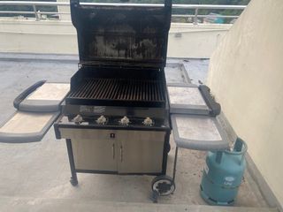 Weber Gold Summit BBQ Grill