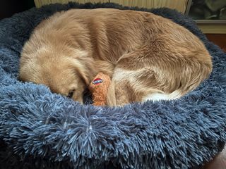 (Category: ) located in . Submitted by viggo (Listing ID 1227958765, Image 1). Description: .