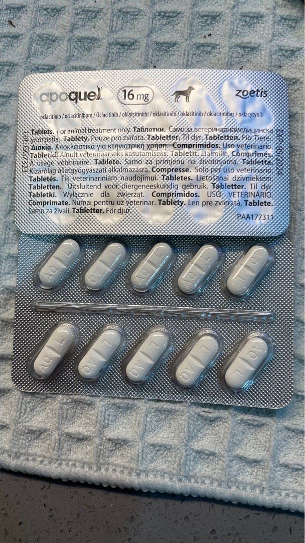 16mg apoquel Pet Supplies Health Grooming on Carousell