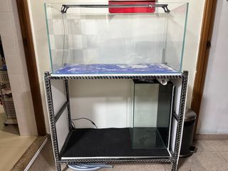 (Category: ) located in . Submitted by ken9223 (Listing ID 1228006866, Image 1). Description: .